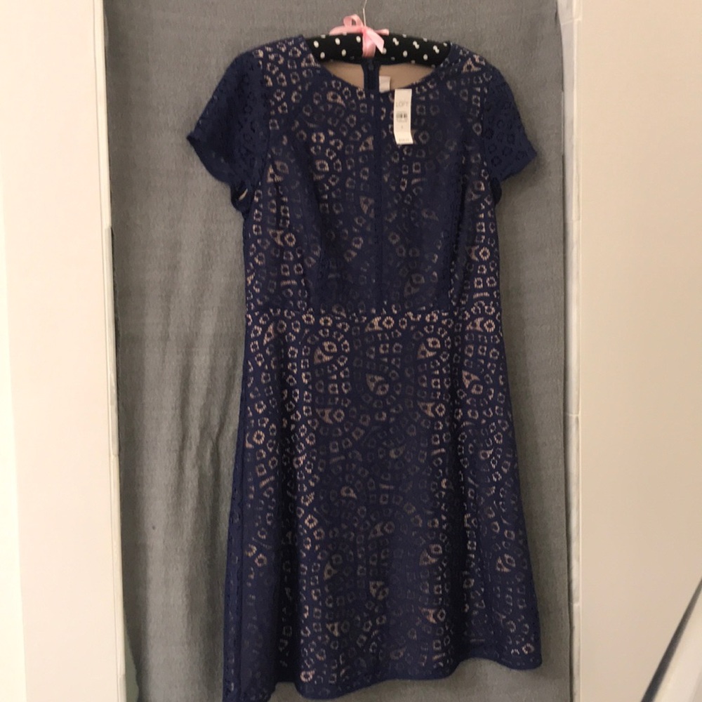 Ann Taylor LOFT | Navy Over Nude Lace Dress